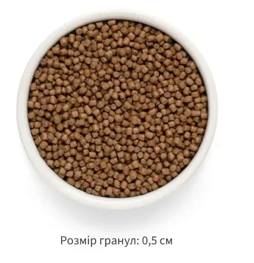 Grandorf Сухой беззерновой корм для котят Grandorf FRESH LAMB & SWEET POTATO KITTEN ягненок с бататом, 400 г