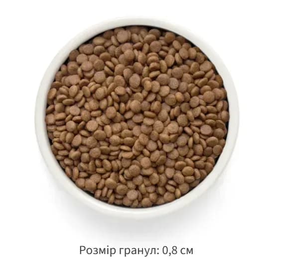 Grandorf Сухой беззерновой корм для стерилизованных кошек Grandorf FRESH SALMON & SWEET POTATO ADULT CAT STERILISED лосось с бататом, 2 кг